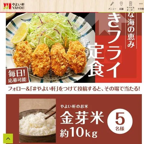 やよい軒金芽米(約10kg)、バルミューダ BALMUDA The Pot　7名 2026年10月14日締切 の懸賞イメージ