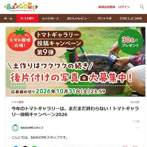 カゴメ商品詰め合わせ　30名 2026年10月31日締切 のイメージ