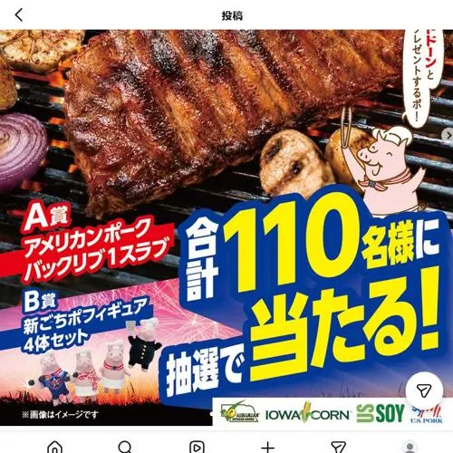 アメリカンポーク バックリブ、ごちポフィギュア4体　110名 2026年8月31日締切 の懸賞イメージ