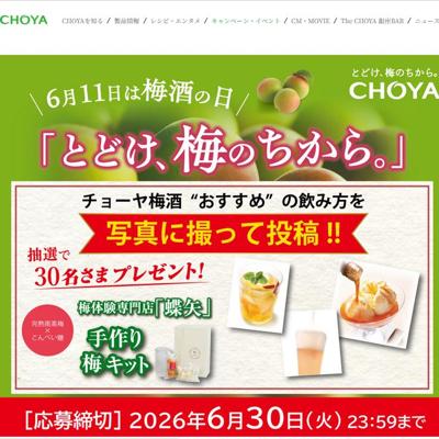 梅体験専門店『蝶矢』梅キット(手作り体験キット)　30名 2026年6月30日締切 の懸賞イメージ
