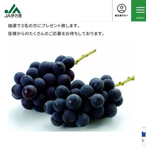巨峰　3名 2026年8月31日締切 の懸賞イメージ