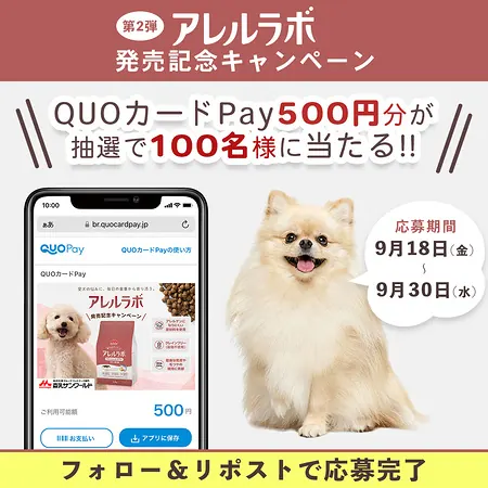 QUOカードPay500円分が100名様に当たるXキャンペーン の懸賞イメージ