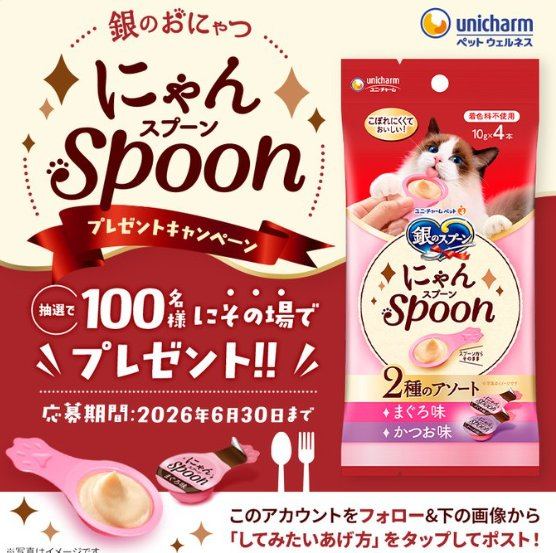 スプーンタイプの猫用おやつがその場で100名様に当たるXキャンペーン の懸賞イメージ