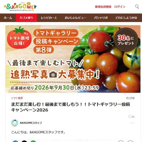 カゴメ商品詰め合わせ　30名 2026年9月30日締切 のイメージ