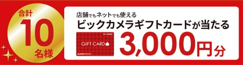 ビックカメラギフトカードが当たる毎日応募Xキャンペーン の懸賞イメージ