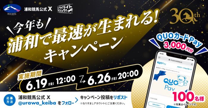 QUOカードPay 3,000円分が100名様に当たるXキャンペーン の懸賞イメージ