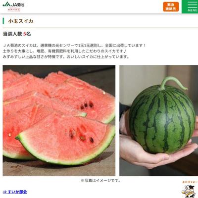 小玉スイカ　5名 2026年5月20日締切 の懸賞イメージ