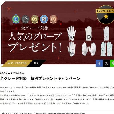フットジョイ ウェザーソフ グローブ、プロギア グローブ 両手用 レディス など　24名 2026年3月31日締切 の懸賞イメージ