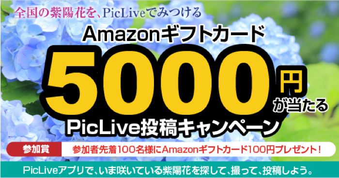 Amazonギフト券最大5,000円分が先着100名様＋7名様に当たる！PicLive 紫陽花投稿キャンペーン の懸賞イメージ