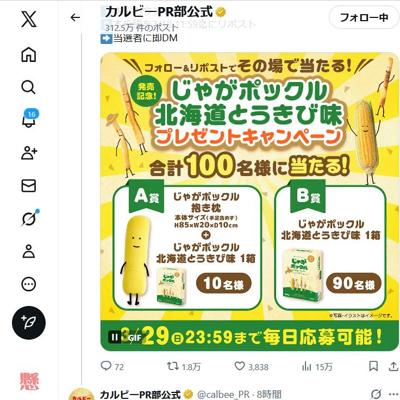 じゃがポックル抱き枕、じゃがポックル 北海道とうきび味　100名 2026年3月29日締切 の懸賞イメージ