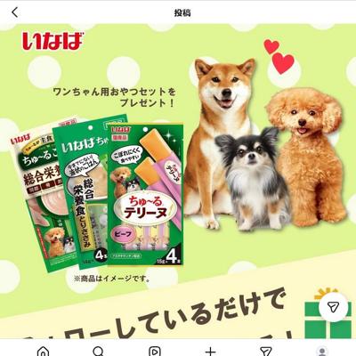 ワンちゃん用おやつセット　20名 2026年5月11日締切 の懸賞イメージ