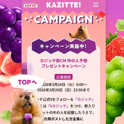 カジッテ グレープ＆マスカット、カジッテ ストロベリー＆ピーチ　500名 2026年3月29日締切 の懸賞イメージ