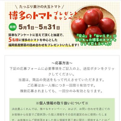 博多のトマト　5名 2026年5月31日締切 の懸賞イメージ