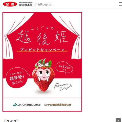 越後姫(いちご)　10名 2026年4月19日締切 の懸賞イメージ