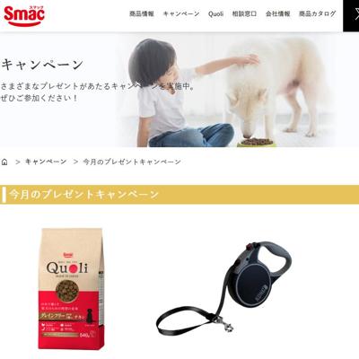 犬用伸縮リード コング ターレイン、Quoli成猫用まぐろ　10名 2026年3月30日締切 の懸賞イメージ