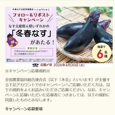 冬春なす　6名 2026年4月30日締切 の懸賞イメージ