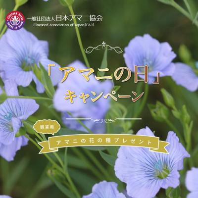 可憐な薄紫色の花が咲くアマニの花の種　500名 2026年3月31日締切 の懸賞イメージ