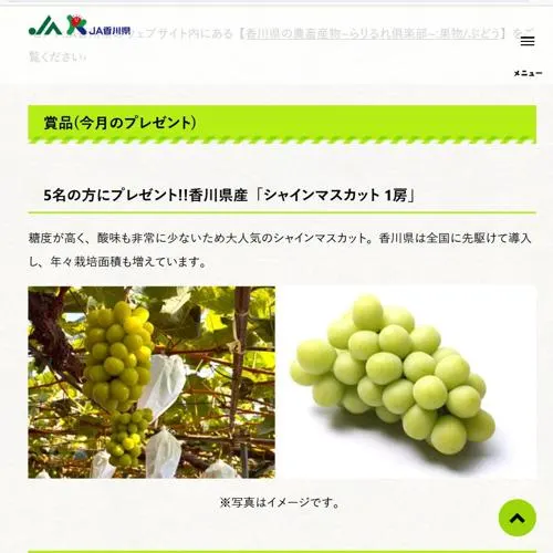 香川県産「シャインマスカット」　5名 2026年8月31日締切 の懸賞イメージ