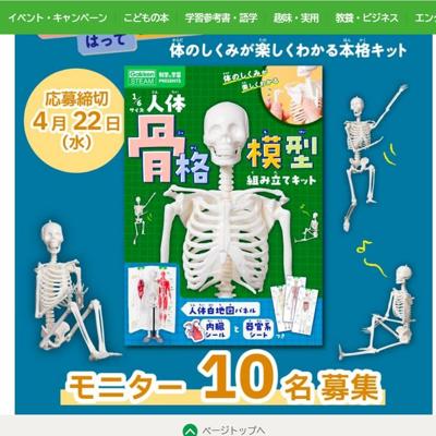 1／6サイズ 人体骨格模型組み立てキット　10名 2026年4月22日締切 の懸賞イメージ