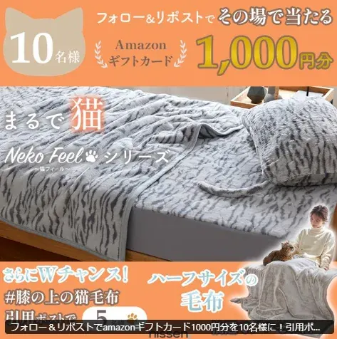 Amazonギフトカード1,000円分がその場で当たるニッセンのX懸賞 の懸賞イメージ