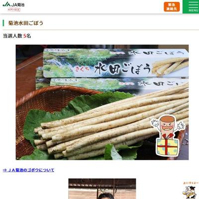 菊池水田ごぼう　5名 2026年4月20日締切 の懸賞イメージ