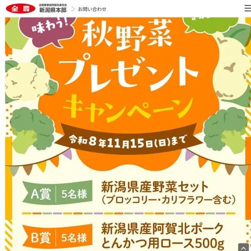 新潟県産野菜セット、新潟県産阿賀北ポーク とんかつ用ロース　10名 2026年11月15日締切 の懸賞イメージ