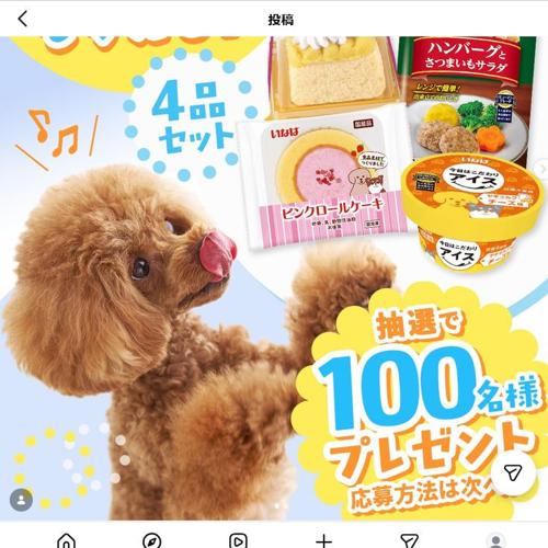 冷凍ドッグフード4品セット　100名 2026年7月16日締切 の懸賞イメージ