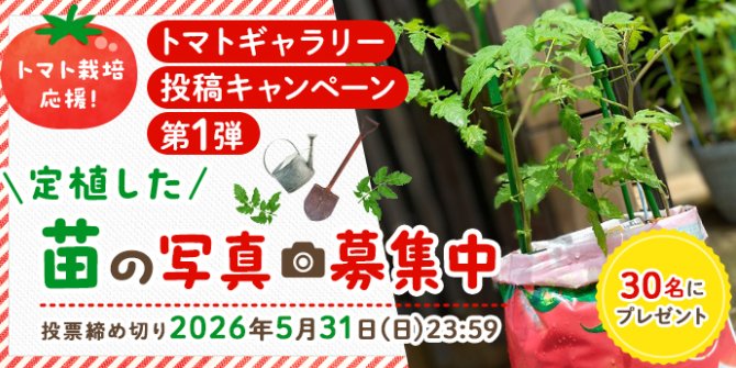 30名様にカゴメ商品詰め合わせが当たる写真投稿キャンペーン の懸賞イメージ