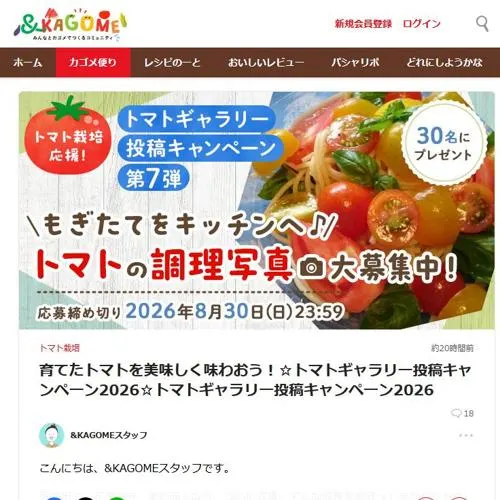 カゴメ商品詰め合わせ　30名 2026年8月30日締切 の懸賞イメージ