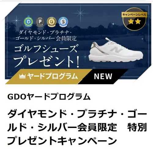 ニューバランス スパイクレス フレッシュフォームX 2500v5 SL シューズ　20名 2026年9月30日締切 のイメージ