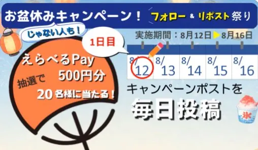 えらべるPay500円分が当たる毎日応募Xキャンペーン の懸賞イメージ