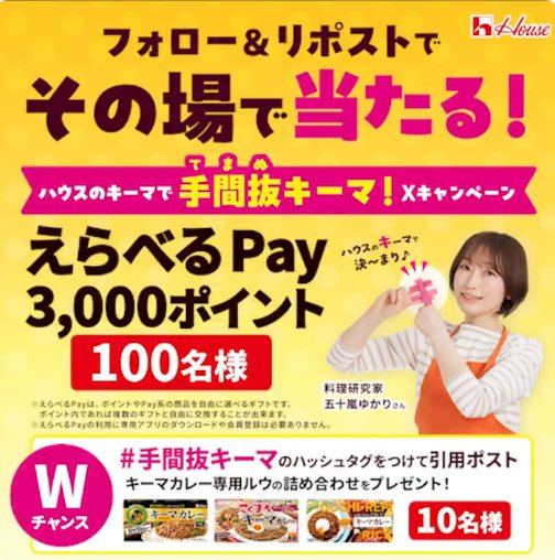 えらべるPay3,000円分が当たる毎日応募Xキャンペーン の懸賞イメージ