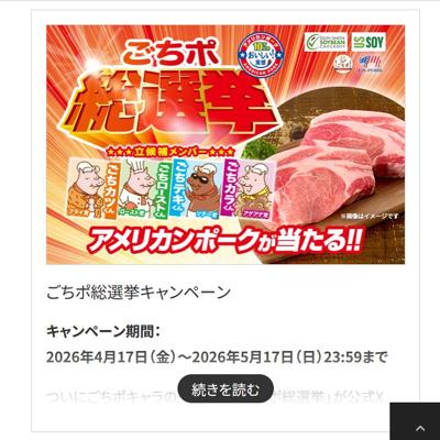 アメリカンポーク ロース(かたまり)、ごちポフィギュア4体　330名 2026年5月17日締切 の懸賞イメージ