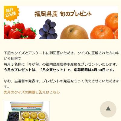 八女茶セット　5名 2026年4月30日締切 の懸賞イメージ