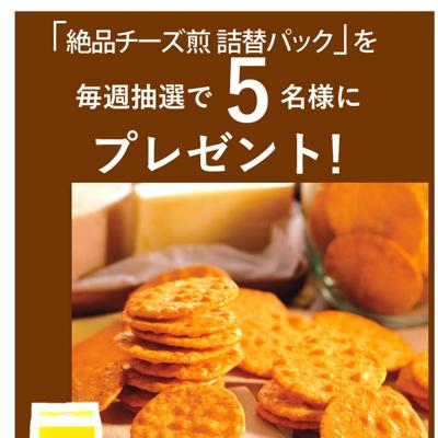 絶品チーズ煎餅　5名 2026年4月22日締切 の懸賞イメージ