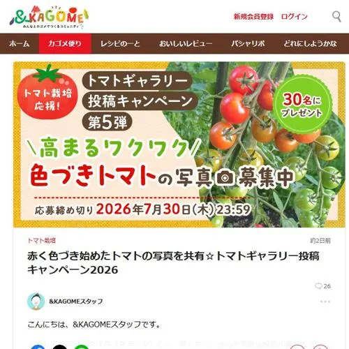 カゴメ商品詰め合わせ　30名 2026年7月30日締切 の懸賞イメージ