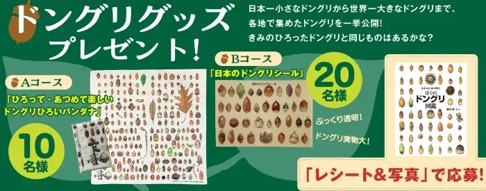「ドングリグッズ」が当たる岩崎書店のレシートキャンペーン の懸賞イメージ