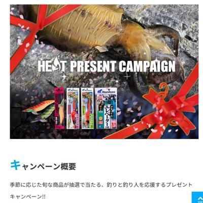 「アオリイカ仕掛＆エギ」 セット　30名 2026年4月14日締切 の懸賞イメージ