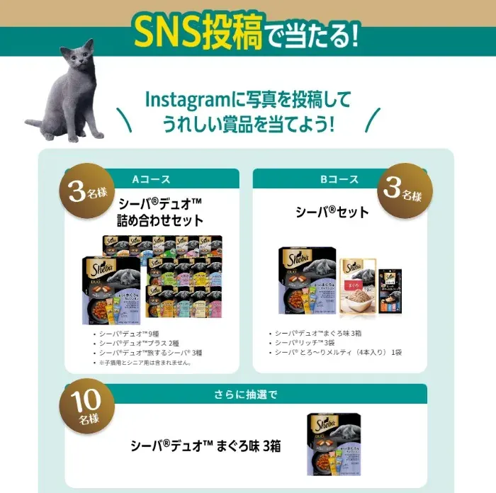 シーバ詰め合わせなどが当たるInstagram投稿キャンペーン の懸賞イメージ