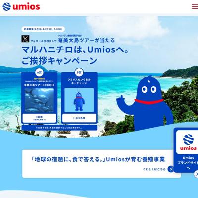 奄美大島ツアー、ウミオスぬいぐるみキーチェーン　1005名 2026年5月6日締切 のイメージ