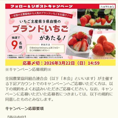ブランドいちご　9名 2026年3月22日締切 の懸賞イメージ