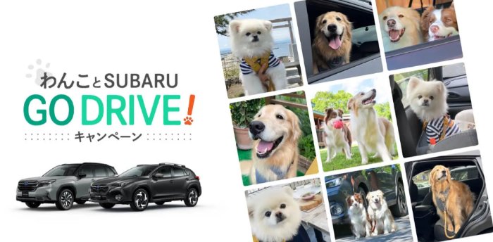 愛犬と一緒に泊まれる宿泊プラン付きモニター試乗が当たる豪華キャンペーン の懸賞イメージ