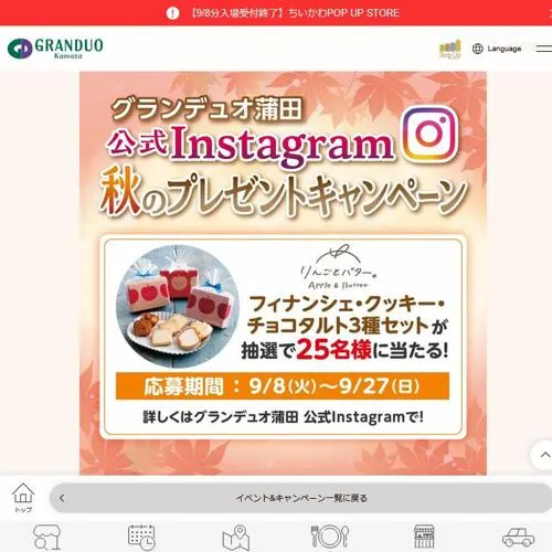 フィナンシェ・クッキー・チョコタルト3種セット　25名 2026年9月27日締切 のイメージ