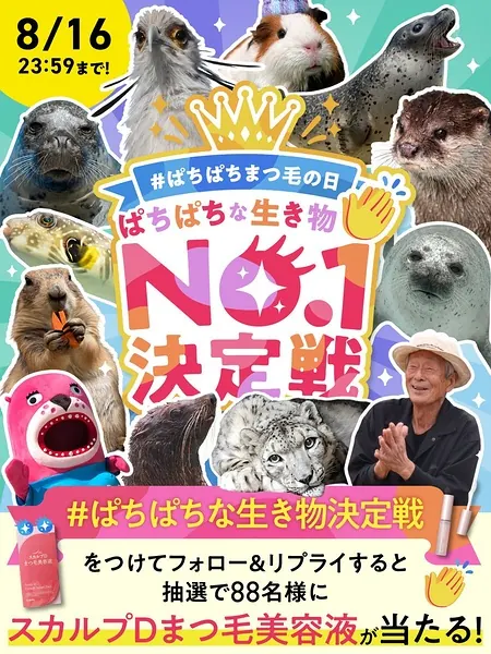 スカルプD まつ毛美容液が88名様に当たるXキャンペーン の懸賞イメージ