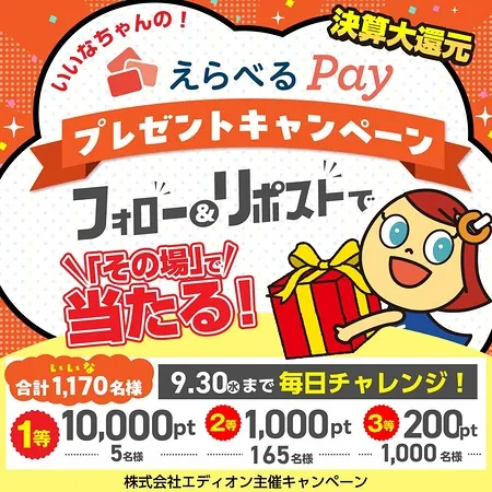 えらべるPay最大1万円分が1,170名様にその場で当たる！エディオンのXキャンペーン の懸賞イメージ
